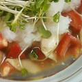 ぇりつぃん大統領's cooksnap of when they made ◆つるり夏味　鶏とトマトのくず打ち◆.