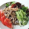 ゆみぃマム's cooksnap of when they made 簡単♪さっぱりポン酢で冷やし蕎麦♪.