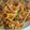 kisaragicats's cooksnap of when they made すきやき風焼きうどん.