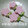 ゆみ‘ｓカフェ's cooksnap of when they made おさかなのソーセージでお花畑.