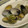 ねこしっぽ's cooksnap of when they made スペイン風　アサリのワイン蒸し.