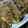 ダックス★ケンチロ's cooksnap of when they made ✿冷蔵庫の残ったお野菜で♬簡単肉巻き✿.