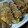 ダックス★ケンチロ's cooksnap of when they made ✿冷蔵庫の残ったお野菜で♬簡単肉巻き✿.