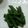 May6256's cooksnap of when they made いんげんのごま和え。.