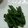May6256's cooksnap of when they made いんげんのごま和え。.