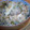 はっちぱっち's cooksnap of when they made ☆大根菜と油揚げの炊き込みご飯☆.