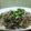 hinky's cooksnap of when they made 切り昆布と白滝の柚子胡椒きんぴら.