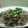hinky's cooksnap of when they made 切り昆布と白滝の柚子胡椒きんぴら.