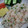 湖のカフェ's cooksnap of when they made 鮭とシソのおすし.