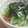 milk_p0t's cooksnap of when they made スモークサーモンの塩麹丼。.