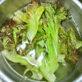♪♪ちょこ♪♪'s cooksnap of when they made これだけで✿野菜が♡新鮮♡長持ち保存法.