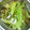 ♪♪ちょこ♪♪'s cooksnap of when they made これだけで✿野菜が♡新鮮♡長持ち保存法.