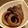 てんてん♡'s cooksnap of when they made 圧力鍋でやわらかイカ大根.
