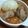 さっちゃん←元こ茄子's cooksnap of when they made きのこのホッと鍋.
