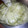 翔仁LOVE's cooksnap of when they made しろうりの甘酢漬け.