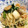 mshangover's cooksnap of when they made 海鮮塩焼きそば.
