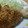 ちゃびぃ♡'s cooksnap of when they made ささみごまカツ　ごまマヨソース.