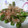 hanaflower's cooksnap of when they made 簡単！ウマウマ★ししとう炒め.