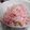 gmkzmkz's cooksnap of when they made 桜エビと枝豆の春炊き込みご飯.