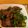 midori_'s cooksnap of when they made 簡単チンジャオロース.