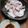 あいぱらりん's cooksnap of when they made パッと茹でイカの生姜醤油がけ.