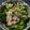 MrsYummy's cooksnap of when they made ツナディップdeカラフル野菜スティック.