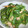 きらり流れ星's cooksnap of when they made 簡単♪ピーマンの切り方☆.