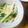 ばんぷ☆'s cooksnap of when they made 長芋ときゅうりのしゃきしゃきサラダ.