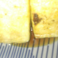 stsxxxkor's cooksnap of when they made 厚揚げ風揚げ出し豆腐.