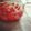 もず９ちゃん's cooksnap of when they made トマトの蜂蜜酢漬け.