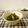 ローズレース's cooksnap of when they made オクラの胡麻和え.