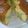 やっちん、's cooksnap of when they made ノンオイル♪しゅわしゅわサイダーシフォン.