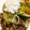 とれいら's cooksnap of when they made 夏野菜と鮭フレークの和風パスタ.
