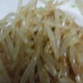 yumai0605's cooksnap of when they made 【超簡単】レンジDEもやしナムル！.