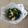 クックVESREV☆'s cooksnap of when they made わけぎのぬた☆給食メニュー.