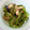 しろくまりん's cooksnap of when they made さっぱりと！ゴーヤとなすのあえ物.