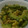 Mike929's cooksnap of when they made ゴーヤとキムチのオイマヨナン炒め.