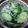 ramieru's cooksnap of when they made キュウリ塩昆布ラー油シラスの和え物！.