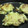 すけくん's cooksnap of when they made 簡単 お好み焼き.