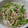 よよよっしー's cooksnap of when they made かいわれとツナの和えもの.