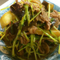 ちぃぼぉりん's cooksnap of when they made 牛肉と豆苗と茄子のニンニク炒め.