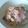 華城ん's cooksnap of when they made ＊きのことベーコンのクリームパスタ＊.