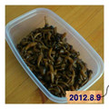 ネブカド's cooksnap of when they made すぐできる！簡単しめじの佃煮.