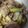 mhmh1031's cooksnap of when they made アスパラと豚肉のマヨネーズ炒め.