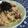 ☆★ひよこ★☆'s cooksnap of when they made 和風たらこスパゲティ♪にんにく風味.