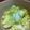 sfcc's cooksnap of when they made ざくざくキャベツ＊塩麹で＊.