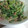 よっちゃん☆☆'s cooksnap of when they made セロリの葉の梅マヨネーズ和え.