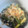 はっぴーはりぼ's cooksnap of when they made わかめとねぎのさっぱり和え.