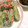 あやママ99's cooksnap of when they made 海老と水菜の生春巻き.