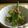 さゆゆん's cooksnap of when they made オクラのおかか麹和え.